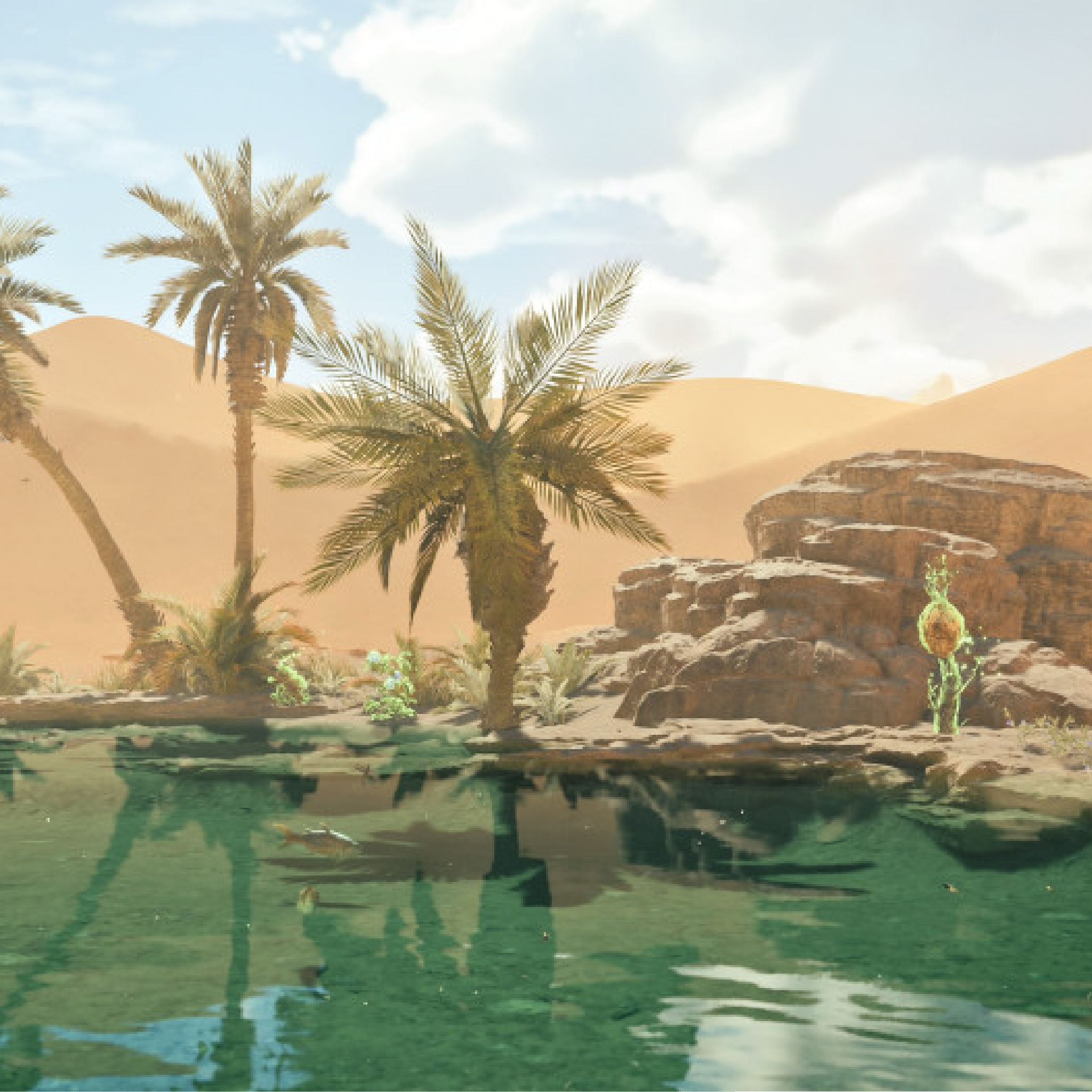 Oasis