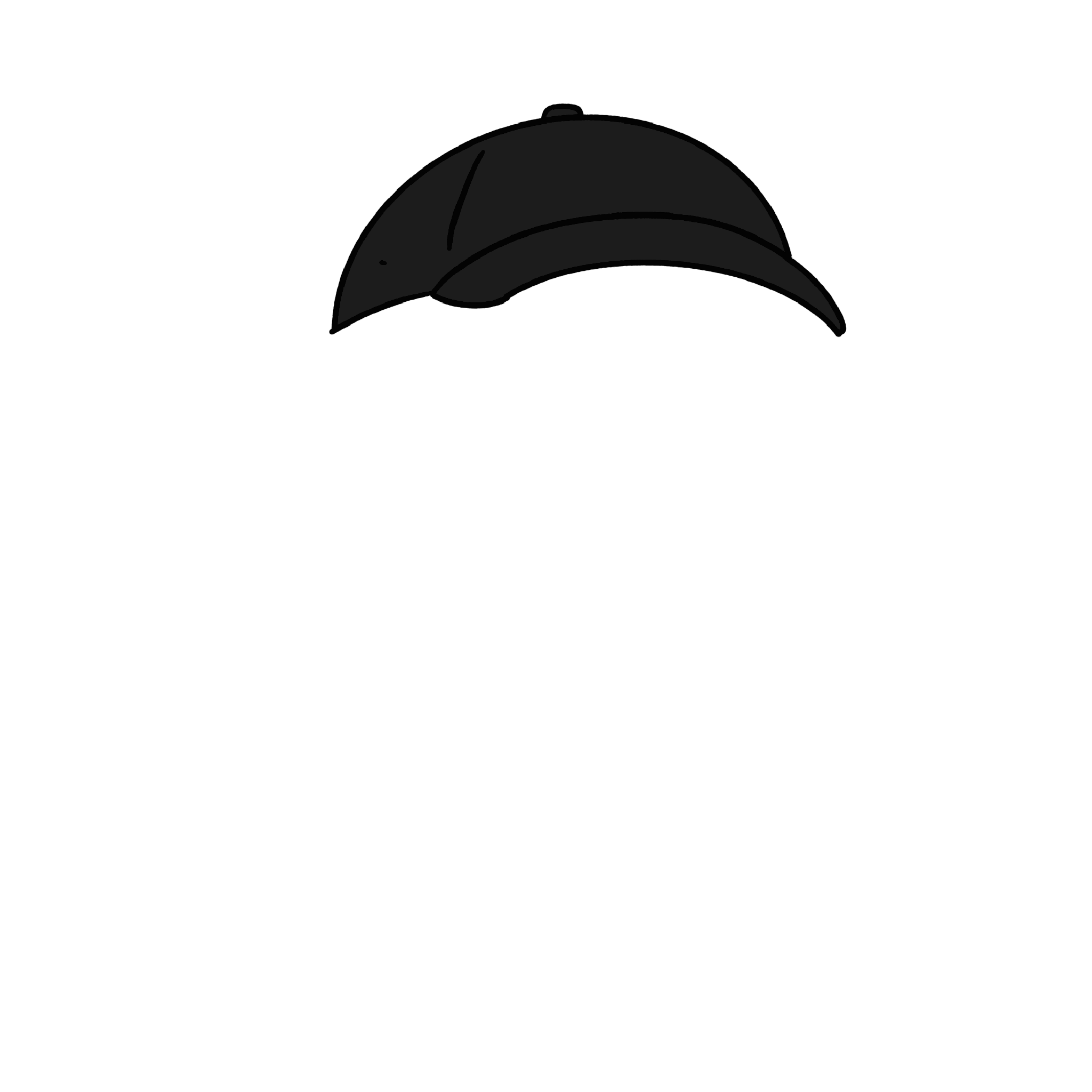 Black Hat